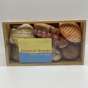 Tropical Breeze Porcelain Sea Shells 8 Piece Set Wooden Box Display